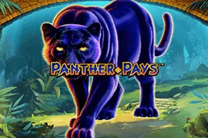 Panther Pays - MOTO128