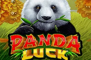 Panda Luck - MOTO128