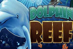 Dolphin Reef - MOTO128