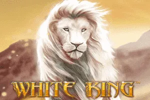 White King - MOTO128