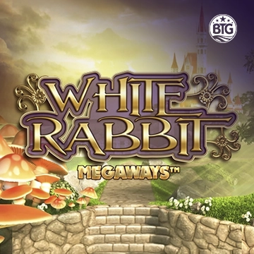 Bigtime : White Rabbit - MOTO128