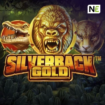 Silverback Gold - MOTO128