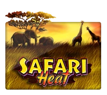 Joker123 : Safari Heat - MOTO128