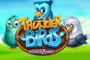 Power Zones: Thunder Birds - MOTO128