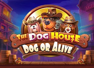 Pragmatic : The Dog House - Dog or Alive - MOTO128