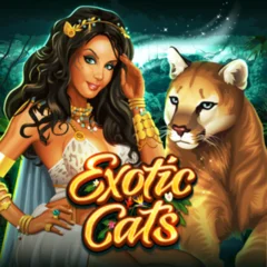 Exotic Cats - MOTO128