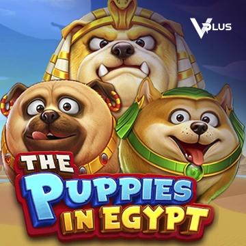 The Puppies In Egypt - MOTO128