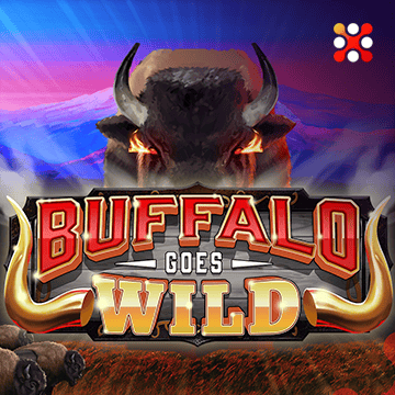 Mancala : Buffalo Goes Wild - MOTO128