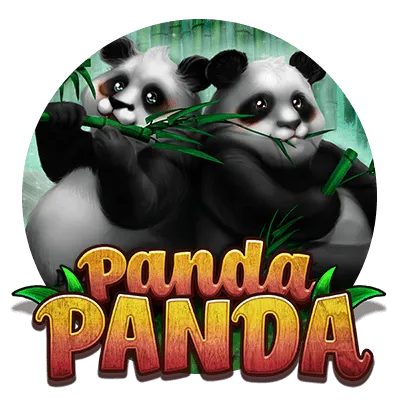 Habanero : Panda Panda - MOTO128