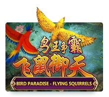 Bird Paradise - MOTO128