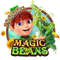 Facai : MAGIC BEANS - MOTO128