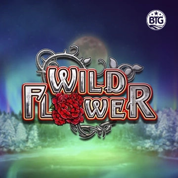 Bigtime : Wild Flower - MOTO128