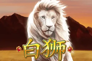 Bai Shi - MOTO128