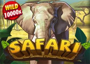 Safari - MOTO128