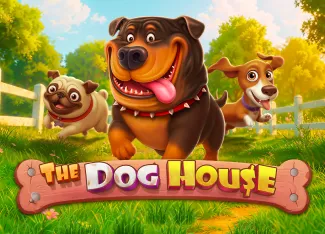 Pragmatic : The Dog House - MOTO128