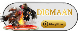 Digman - MOTO128